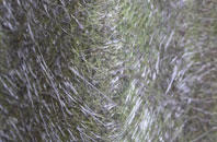 Garforth fibreglass roof work